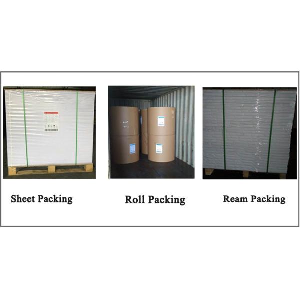 C1S coated art paper 90gsm 100gsm 120gsm C1S glossy coated art paper Single Side Eco - friendly