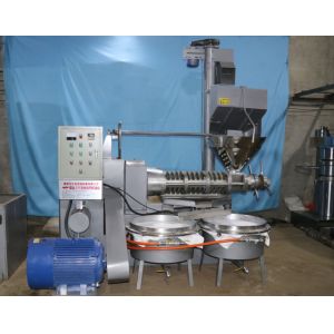 Palm Kernel Mustard Oil Press Extraction Machine Automatic Spiral For Cold Oil