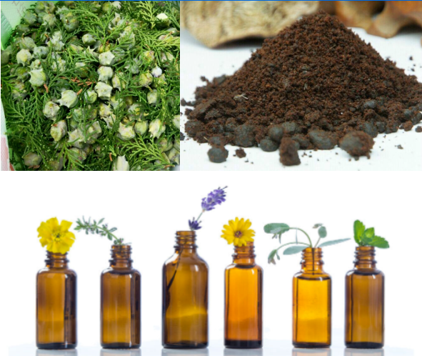 Skin Friendly Musk Cypress Essence with Light and Refreshing Scent for Undiluted Skin Care Formulations