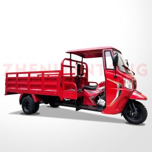 250cc Single Cyclinder 4 Stroke Trikes with Front Disc and Rear Drum Brake