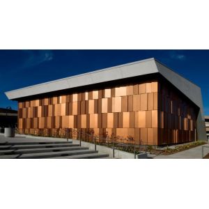 Nontoxic Brushed Gold Aluminum Composite Plastic Board Building Material Wall