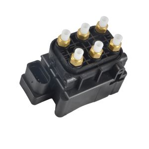 1kg Air Suspension Valve Block OEM 97035815302 7P0698014 95835890101 95835890102