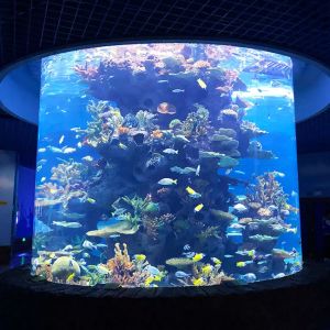 Quality Aquarium Project Construction Large Fish tank Custom Manufacturers Aquarium Super Large Acrylic Fish tank Customized for sale