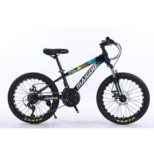 20*2.125 WANDA Tyre Steel Frame 21speed Children's Bike With Mechanical Disc Brake