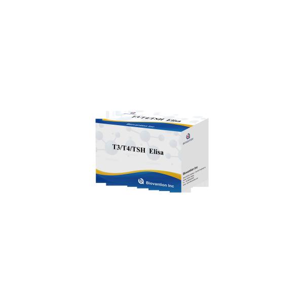 Buy Serum Thyroid-Stimulating Hormone Tsh Elisa Reagent Kits at wholesale prices