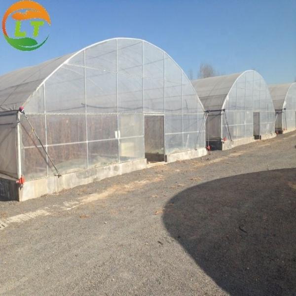 Buy High Output Attractive Single Span Greenhouse With Stable Structure at wholesale prices