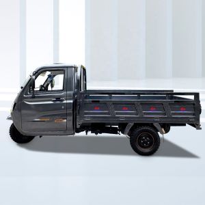 Motorized Cargo Tricycle with 150CC Single Cylinder Electric Engine and 12V