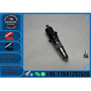Fuel injector 579251 4954648 1764365 1731091 1846350 570016 1846351 579261
