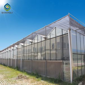 Exhibition Multi Span Polycarbonate Plastic Greenhouse