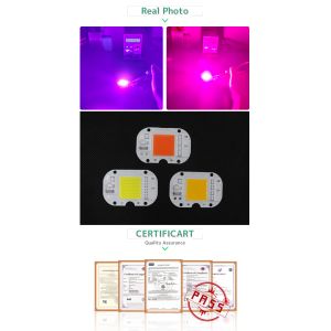 230V UV LED Module Full Spectrum Smart IC COB LED Chip For Indoor