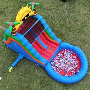 Double Lane PVC Inflatable Water Slide Combo With Pool Obstacle Climb Inflatable