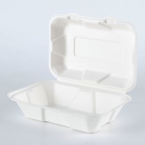 Clamshell Takeaway Food Box Taper Biodegradable Disposable Plate Dish Bagasse