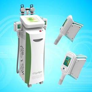 Quality 5 Handles Cryolipolysis Machine / Fat Freezing Machine / Cryolipolysis Slimming Machine for sale