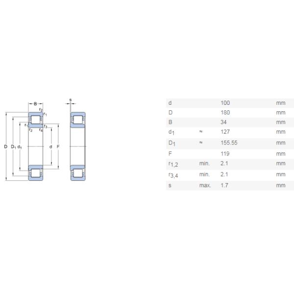 NJ 220 E Cylindrical Roller Bearing Straight Bore 100 mm ID 180 mm OD 34 mm Width C0 Internal Clearance