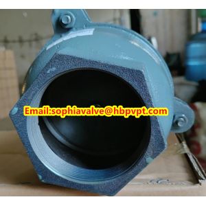 EPDM resilient seal cast iron PN10 foot valve