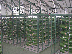 China Artificial Grass Online Marketplace