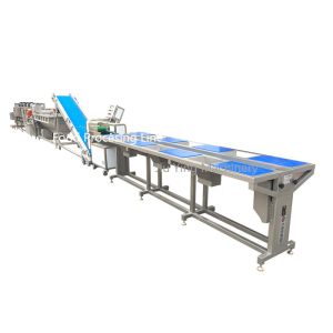 1000KG/H Salad Maker Machine Frozen Vegetable Okra Frozen Processing Line