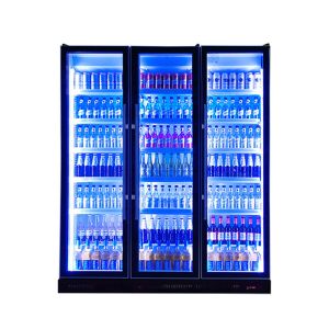 220V / 110V Commercial Chiller With R290 Adjustable 5 Layers Shelves