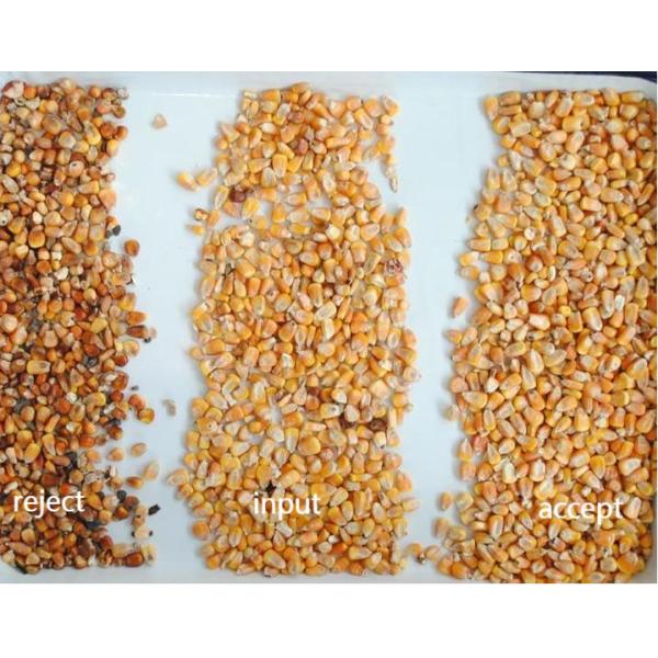 Multifunction Intelligent Corn Color Sorter CCD Camera Color Sorting Machine