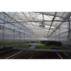 PE Plastic Film Greenhouse Multi Span Sawtooth Turnkey Project