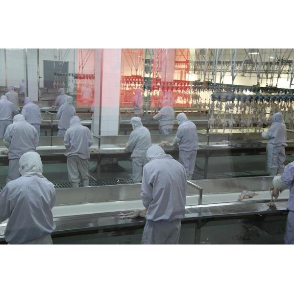 High Capacity Poultry Slaughtering Line Halal Chicken Slaughterhouse Machine 1000BPH