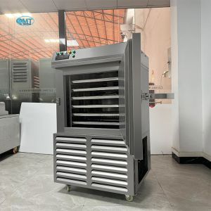 Quality Vegetables Fruit Shrimp Tunnel Quick Freezer Quick Frozen Iqf Tunnel Blast Freezer -80C to 0C Temperature Control 220V for sale