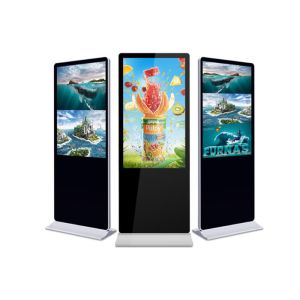 Multifunctional Advertising Digital Signage Powder Coating 55 Inch HDMI