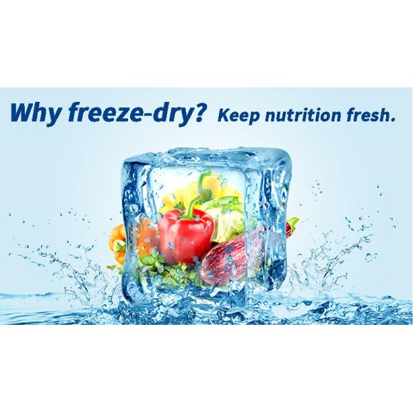 Freezed Dryer Vacuum Machines Industrial Coffee Mushroom Food Lyofilizing