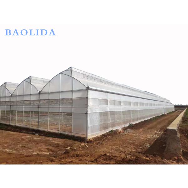 Seedling Nursery Greenhouse Structure Galvanizing Steel Arched Frame Multi Span