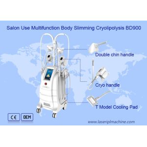 Salon Weight Loss 800VA Cryolipolysis Slimming Machine