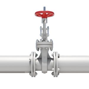 Customized Backflow Prevention Hydraulic Control Check Drain Valve for