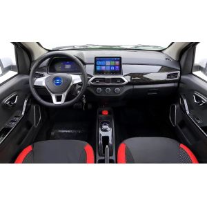 Raysince factory hot sales model 5 door electric car adult vehicle 4 Seats