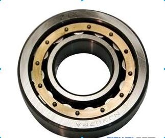 Brass Cage Cylindrical Roller Bearing, Stainless Steel Bearings Nu314ecm/c3