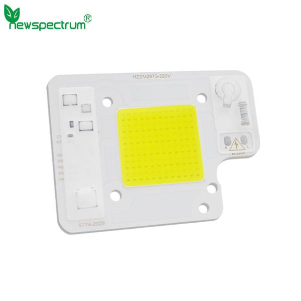 Cold White Led Cob 50w Reliable Consistent Flip Chip Cob Led