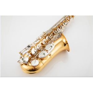Saxophone Alto, Professional Saxophone , Saxophone Manufacturer Instruments