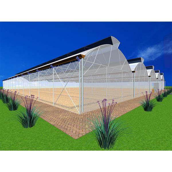 IGreen Length Strawberry Tropical Greenhouse 150/200micron Plastic Film Covering Material