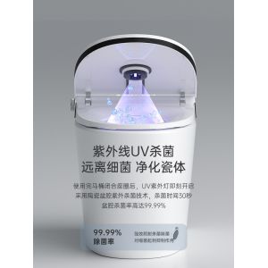 Siphon Flushing Smart Flush Toilet One Piece Intelligent Self Washing