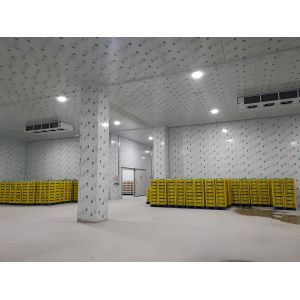 Quality Energy Saving Mobile Cold Storage System Stainless Steel Commercial Cold Storage Room for sale