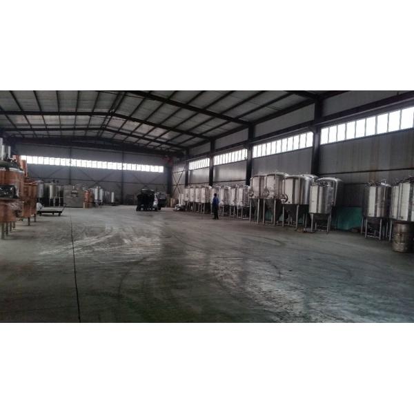 Electricity/Steam/Fire Heating Conical Fermentation Tank for Small Batch Brewing