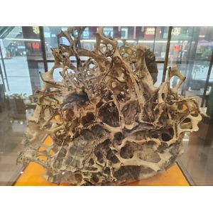 Woody Fragrance Family Agarwood Carving Collection For Birthdays