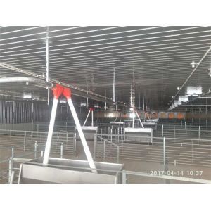 Automatic Piggery Farm Equipment 45mm Dia Disc Chain Feeding Hog Barn Supplies