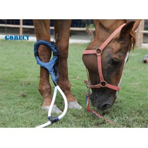 GOMECY PMST LOOP Revolutionary Pemf Magnetic Therapy Device Machine physical