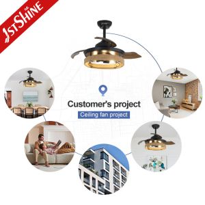 Rope Cage Hidden Blade Ceiling Fan Light With Remote Control Dc Motor