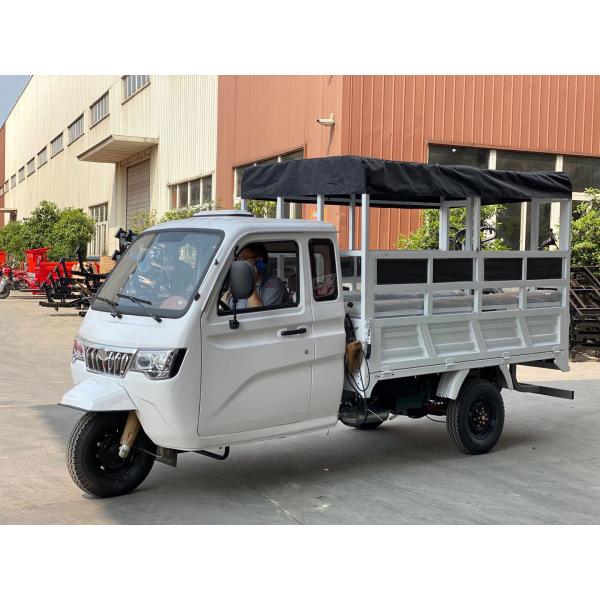 800W Semi-Cabin Motorized Cargo Tricycle with Enclosed Cabin and Plastic Cargo Cover