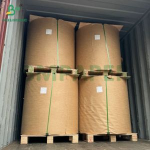 Biodegradable Rainproof Coated Wax Black Mango Fruit Protection Growing Paper