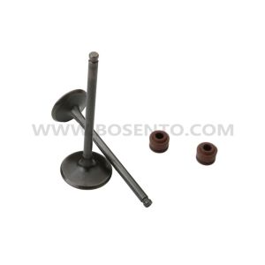 Motorcycle Engine Parts Valve Inlet Exhaust Set for Honda KTT CBF150