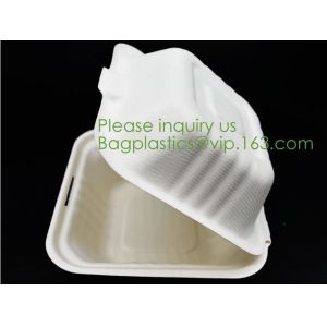 Biodegradable, Sugar Cane, Sugarcane Bamboo Pulp, Bento Box, Bagasse Food