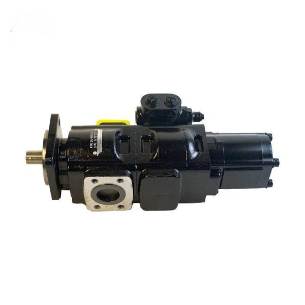 20/925732 7049532007 JCB Parker Loadall Twin Hydraulic Gear Pump for JCB 3CX 4CX