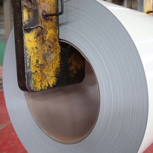 Galvanized Sheet PPGI Steel Coil Zinc Coated ASTM 0.8mm 0.12mm