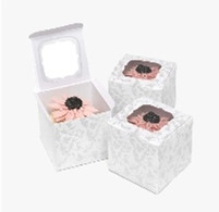 OEM Economical Cardboard Cupcake Boxes Food Grade Takeout Bread Cake Cookie Packing Boxes